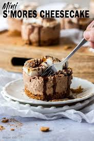 These Mini S Mores Cheesecakes Are The Flavours You Love In A S Mores In Soft Creamy No Bake Cheesecake Form Cheesecake Recipes Mini Cheesecake Savoury Cake