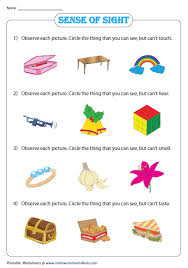 The Sense Of Sight Worksheet Worksheets For Kids Five Senses Worksheet Science Worksheets