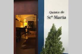 The decision for ribafreixo wines, headquarters to be located at vidigueira is based on two reasons. Quinta De Santa Maria Vidigueira Updated 2021 Prices