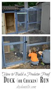 Cut and install the wire mesh to the door using staples. Diy Duck Run How To Build A Predator Proof Space For Your Ducks Or Chickens Diy Danielle