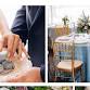 Greater Virginia Bridal Show - Chantilly