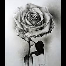 25 Beautiful Rose Drawings And Paintings For Your Inspiration Beautiful Flower Drawings Flower Drawing Color Pencil Drawing