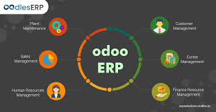 Odoo is a software suite to better manage and run your company. Why Choose Odoo Erp For Your Business By Erp Solutions Oodles Medium