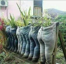hattest du schon einmal das erlebnis dass du an einem garten vorbeigekommen bist und dachtest wow das ist echt schrag bei den garten pflanzen garten ideen