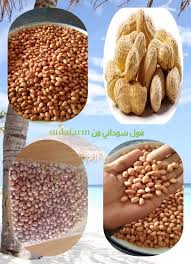 فول سوداني من سودافارم اجود انواع الفول Sudafarm الشركة السودانية للمنتجات الزراعية و الحيوانية Facebook