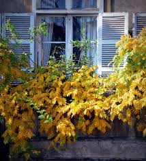 The french have long been in love with color, and they have many names for pure and nuanced color. Best Way To Sign Off Or End An Email In French How To Say Goodbye Or Cheers Or Sincerely French Word A Day
