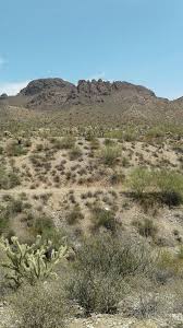 We think you can handle it. Hot Oven Sonoran Desert Watch Out For Diamondbacks And Throwing Cactus 100 Degrees Plus Stay Hy Picture Of Vulture Peak Trail Wickenburg Tripadvisor
