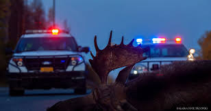 COMMUTERS: BEWARE OF THINGS THAT GO “THUMP!” IN THE NIGHT Late fall in  Alaska m... - Oasis Alaska Charters