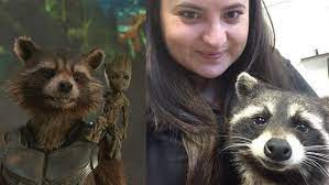 Tiradas pontuais que vão de ótimas referências culturais (a história de footloose também tem importância em certo ponto do filme) até os momentos de. Morre Guaxinim Que Serviu De Inspiracao Para Personagem De Guardioes Da Galaxia