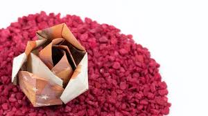 Www.orimoto faltanleitungen.de orimoto schriftzug orimoto faltanleitung deutsch mit 60 seiten orimoto anleitung orime.de kostenlos orime.de erfahrung gefaltete bücher. Geld Falten Rose Geldgeschenk Zur Hochzeit Basteln Youtube