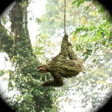 Costa rica ( map ). Waterfall On Rio Bellavista Bild Von Finca Bellavista Treehouse Community Piedras Blancas Tripadvisor