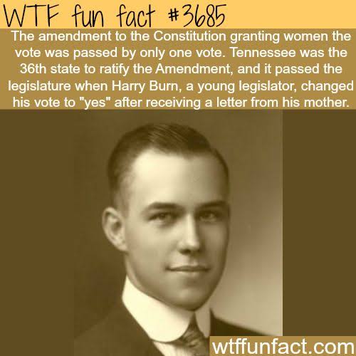 images?q=tbn:ANd9GcQ14wFJHnayperS6dF743O