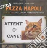 Cresciuto in un ambiente familiare artisticamente vivace (la madre scriveva poesie e canzoni napoletane, il padre aveva trascorsi giovanili teatrali), sin da bambino rivela una indole creativa: Libri Assisi Sergio Catalogo Libri Di Sergio Assisi Bibliografia Sergio Assisi Unilibro