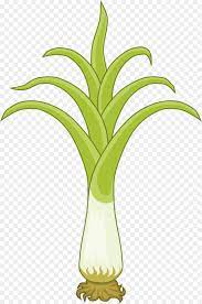 Увенчан королевский знак уэльса королевской короной святого эдуарда. Uels Sup Iz Lukaporeya Nacionalnye Simvoly Uelsa