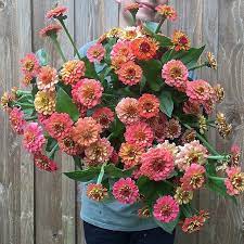 Pin On Flowers