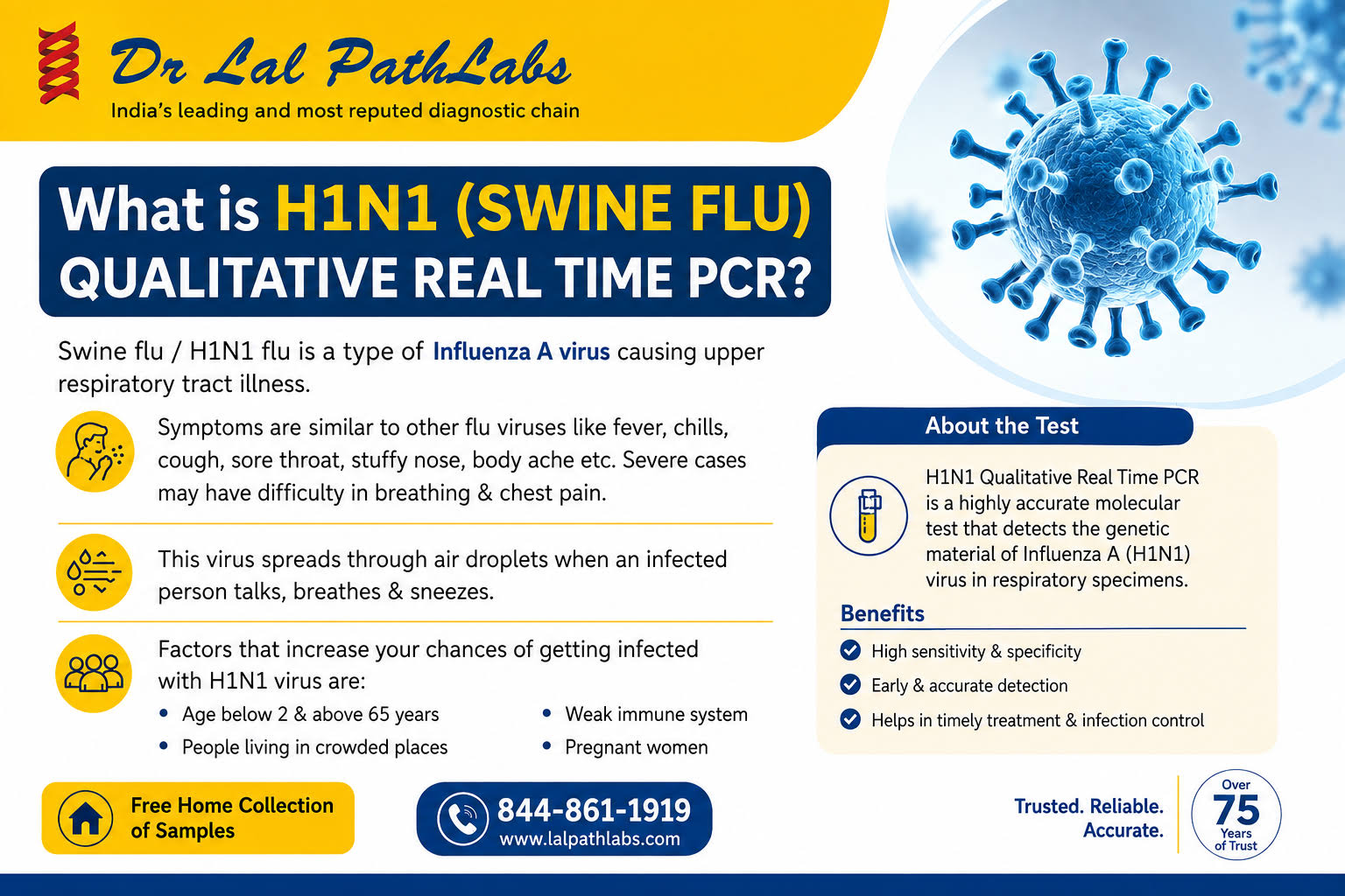 H1N1 (SWINE FLU) product image