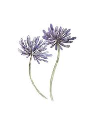 Pin On Art Inspiration For Nicola