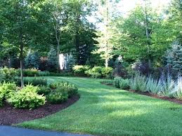 Privacy fence landscaping small front yard landscaping garden landscaping landscaping software arborvitae landscaping evergreen trees landscaping sloped front yard natural landscaping landscaping rocks. Bushes Are Great For Small Areas In Landscaping Privacy Landscaping Backyard Privacy Landscaping Landscaping Trees