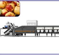 Fresh Jujube Junzao Dates Sorting Machine 4 Channel Optical ...