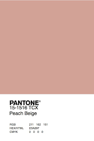 Pin By Min Mean On Portfolio Pantone Colour Palettes Pantone Palette Colour Pallete