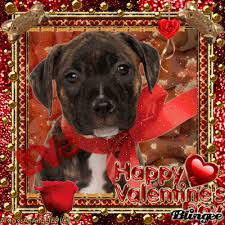 Pin By Jenifer Dimayuga On Gif Love Valentine Happy Valentines Day Happy Valentines Day Images Puppy Valentines Valentine's day has officially gone to the dogs (and cats). happy valentines day