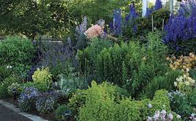 Find ideas and inspiration for perennial flowers zone 7 to add to your own home. The Best Flowers For Your Cutting Garden Finegardening