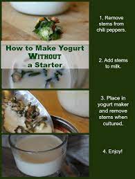 How To Make Yogurt Without A Starter It Takes Time Recipe Yogurt Homemade Yogurt Delicious Healthy Recipes