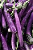 Image result for what is the difference between regular eggplant and japanese eggplant