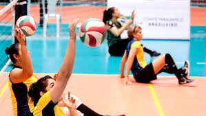 Check spelling or type a new query. Selecao Brasileira Feminina De Volei Sentado Chega Ao Ct Paralimpico Para 1Âª Fase De Treinos Surto Olimpico