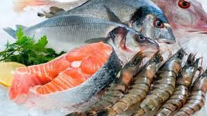 Di bawah laut, terdapat banyak aneka ragam tumbuhan dan. Jenis Makanan Laut Yang Bisa Disimpan Di Kulkas Mjw Seafood
