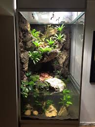 Terrarien Futtertiere Beregnung Regenanlage Dendrobaten Pfeilgiftfrosche Regenwald Terrarium Terrarien Terrarium Pflanzen
