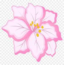 We did not find results for: White Flower Clipart Pink Flower Pink And White Flowers Png Free Transparent Png Clipart Images Download