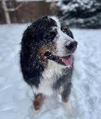 We are looking back...