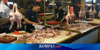 Harga telur ayam ras hari ini rabu, 19 mei 2021. Harga Ayam Potong Di Bandung Meroket