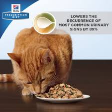 Hill S Prescription Diet C D Multicare Stress Urinary Care Chicken Vegetable Stew Canned Cat Food 2 9 Oz Case Of 24 In 2019 Canned Cat Food Dry Cat Food Cat Food