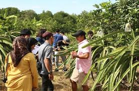 Sabak bernam adalah kawasan pertanian. Tidak Perlu Travel Jauh Ronda Ronda Sekitar Sepang Pun Cukup Menarik Destinasi Mstar