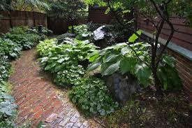 Backyard Landscape Design A Cambridge Ma Garden Refurbished Landscape Design Backyard Landscaping Rock Garden Design