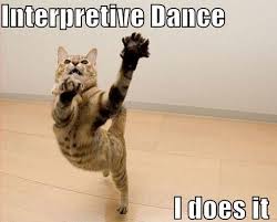 Interpretive Dance Cat Dancing Cat Interpretive Dance Funny Dance Quotes