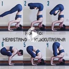 Yoga Sequences Best At Home Fitness Program Yoga Mindfulness Yoga Ma In 2020 Easy Yoga Workouts Yoga Asanas Yoga Fitness