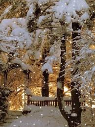 Beautiful Snowy Day Winter Pictures Winter Scenery Winter Scenes