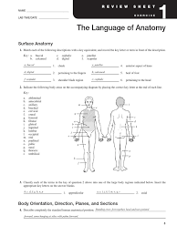 Some of the worksheets for this concept are answers abdominal cavity anatomy physiology work, practicing anatomical terminology part a rewrite each, practical 1 work, the language of anatomy. Exercise 1 Language Of Anatomy Anatomical Terms Of Location Abdomen