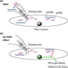 Rna Interference And Plant Parasitic Nematodes Trends In Plant Science
