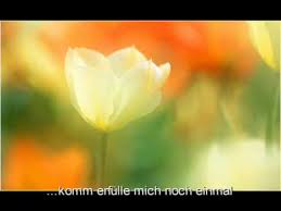 Annie's song also went to number one on the easy listening chart. John Denver You Fill Up My Senses Annie S Song Youtube