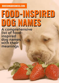 Check domain availabilty with godaddy. Food Inspired Dog Names 100 Culinary Cuisine Name Ideas For Pups