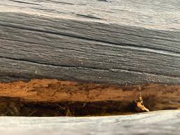 Image result for site:byggahus.se timmerstock