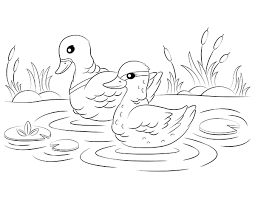 Free Printable Duck Coloring Page Download It At Https Museprintables Com Download Coloring Page Duck Coloring Pages Color Sketches