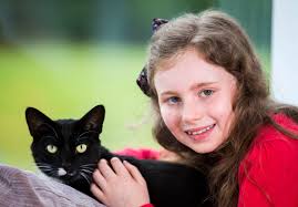 The Cats Protection National Cat Awards, in pictures