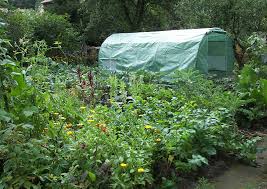 Dieses buch zeigt und erklärt wie man einen garten plant, den boden bearbeitet, zäune aufstellt, richtig aussät, tiefkulturen anlegt, wechselanbau betreibt, gewächshäuser benutzt, schuppen baut, werkzeuge. 4 Grundregeln Der Garten Selbstversorgung Lebensmittelautarkie