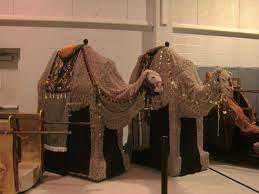 How do camels stay hydrated. Pin On Costumes I Ve Made