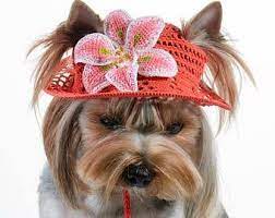 Dog S Baseball Cap Smiley Dog Visor Hats For Small Dogs Knit Dog Hat Dog Sun Visor Small Dog Clothes Puppy Hats Dog Party Hat